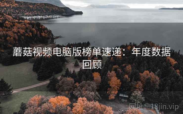 蘑菇视频电脑版榜单速递：年度数据回顾