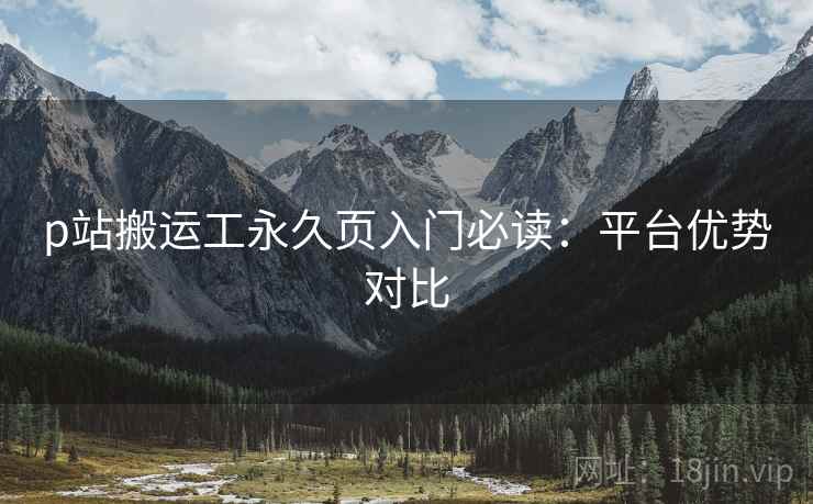 p站搬运工永久页入门必读：平台优势对比