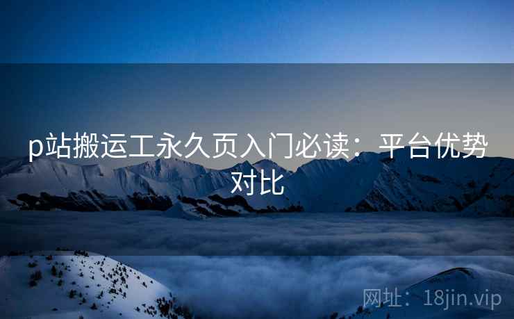 p站搬运工永久页入门必读：平台优势对比