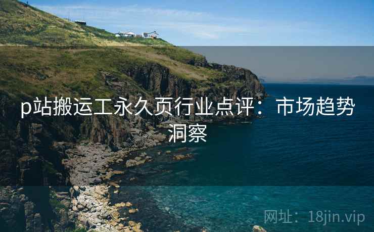 p站搬运工永久页行业点评：市场趋势洞察