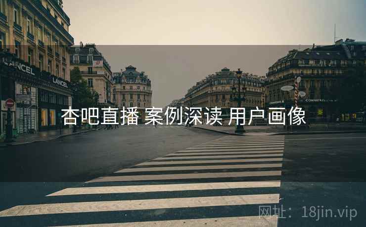 杏吧直播 案例深读 用户画像