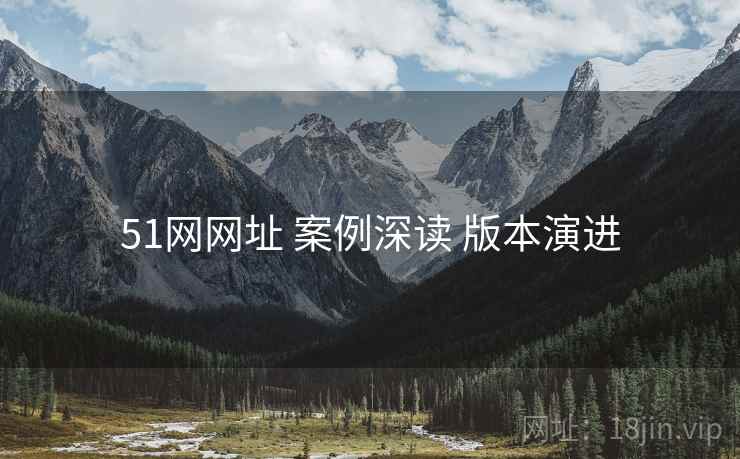 51网网址 案例深读 版本演进