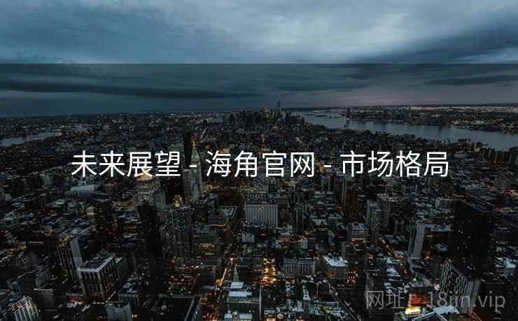 未来展望 - 海角官网 - 市场格局