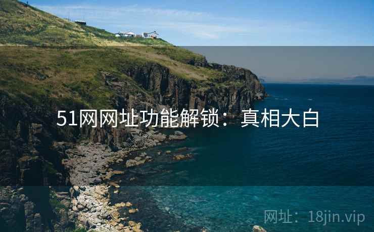 51网网址功能解锁：真相大白