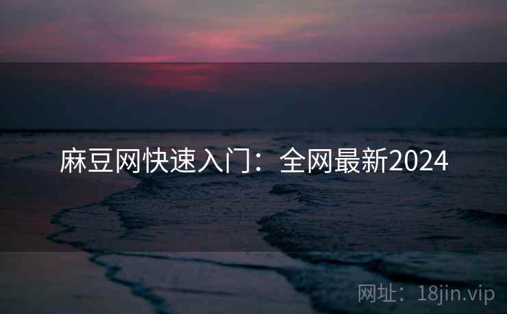 麻豆网快速入门：全网最新2024