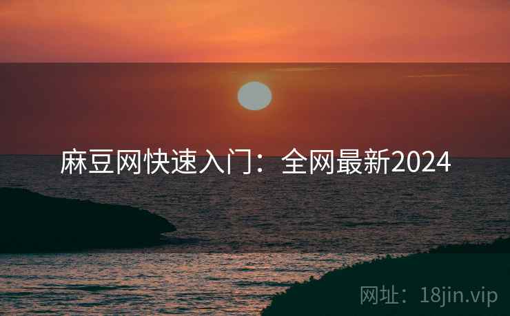 麻豆网快速入门：全网最新2024