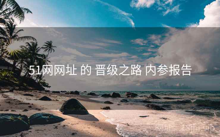 51网网址 的 晋级之路 内参报告