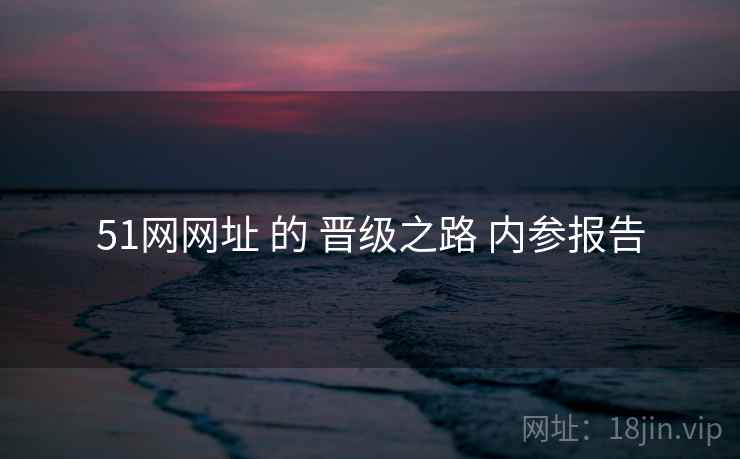 51网网址 的 晋级之路 内参报告