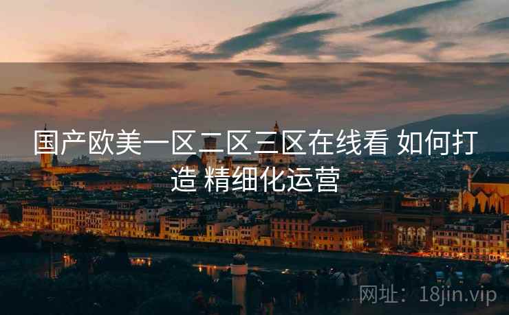 国产欧美一区二区三区在线看 如何打造 精细化运营