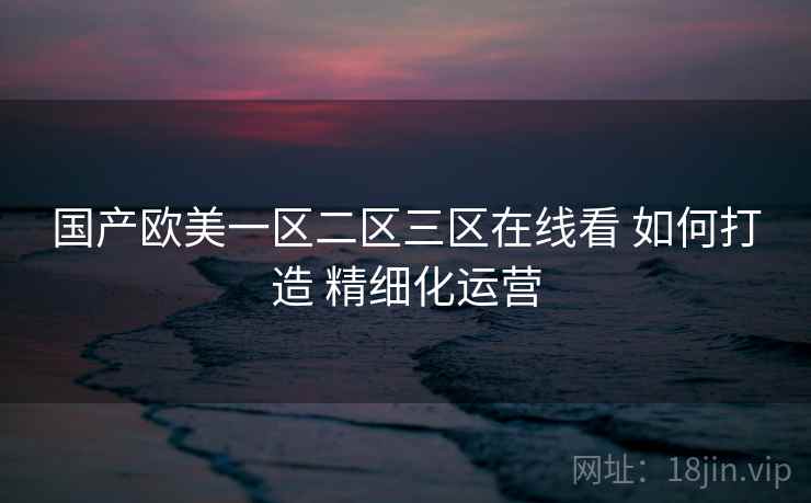 国产欧美一区二区三区在线看 如何打造 精细化运营