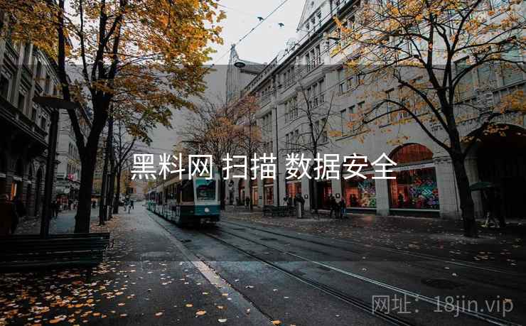 黑料网 扫描 数据安全