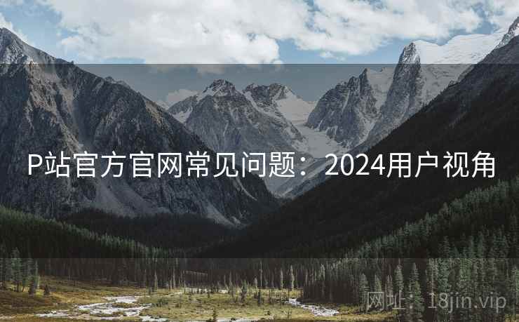 P站官方官网常见问题：2024用户视角