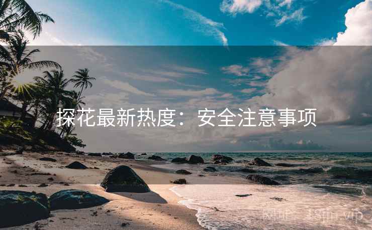 探花最新热度：安全注意事项