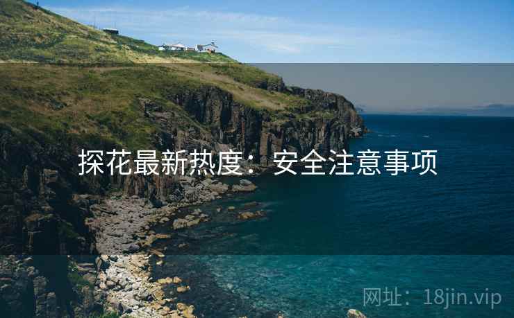 探花最新热度：安全注意事项